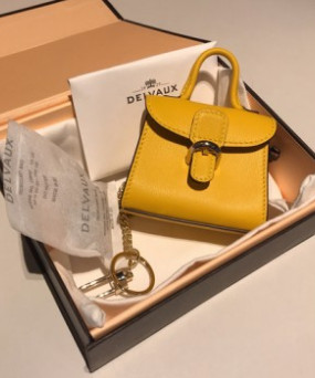 델보 브리앙 MM 박스백 미니